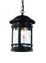  40375 BK - Boardwalk Collection 1-Light, Outdoor Hanging Lantern Pendant with Water Glass